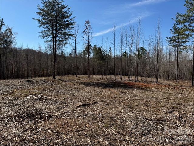 5700 Bentley Ridge Drive 12, Davidson, NC 28036