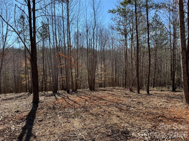 5700 Bentley Ridge Drive 12, Davidson, NC 28036