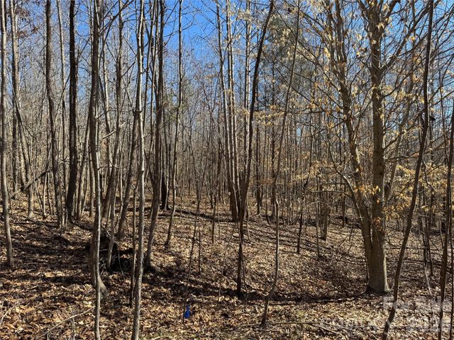 5700 Bentley Ridge Drive 12, Davidson, NC 28036