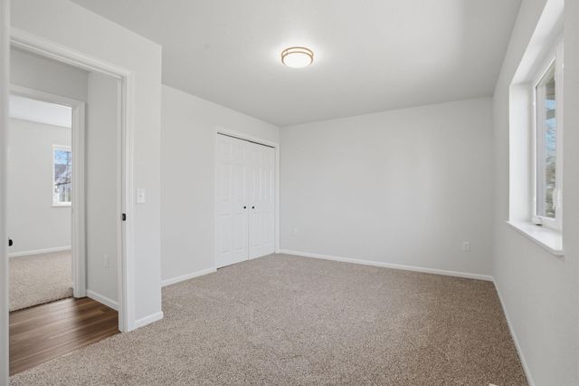341 S Chestnut Avenue, New Hampton, IA 50659