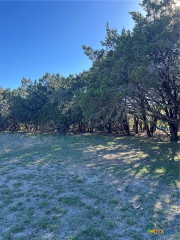 1309 and 1321 Lakeview Drive, Canyon Lake, TX 78133
