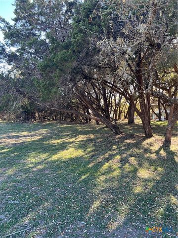 1309 and 1321 Lakeview Drive, Canyon Lake, TX 78133