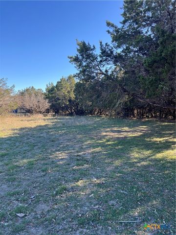 1309 and 1321 Lakeview Drive, Canyon Lake, TX 78133