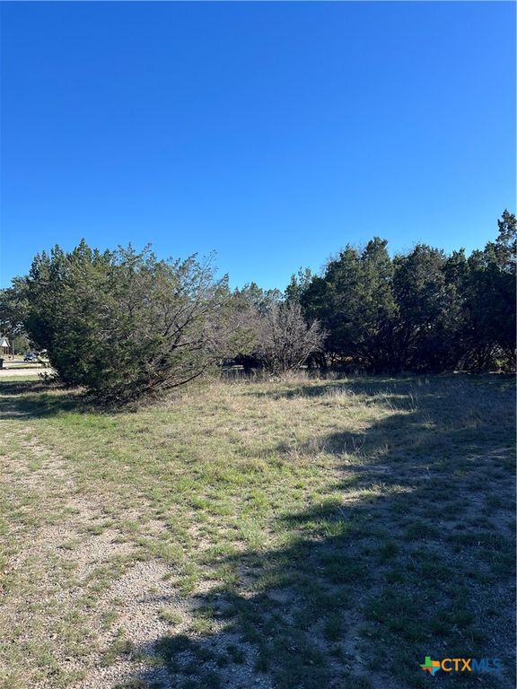 1309 and 1321 Lakeview Drive, Canyon Lake, TX 78133