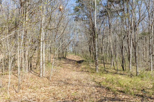 2739 Pickens Rd, Lynnville, TN 38472