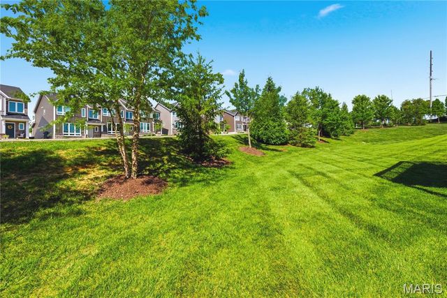 22 Ivyleigh Court, St Charles, MO 63303