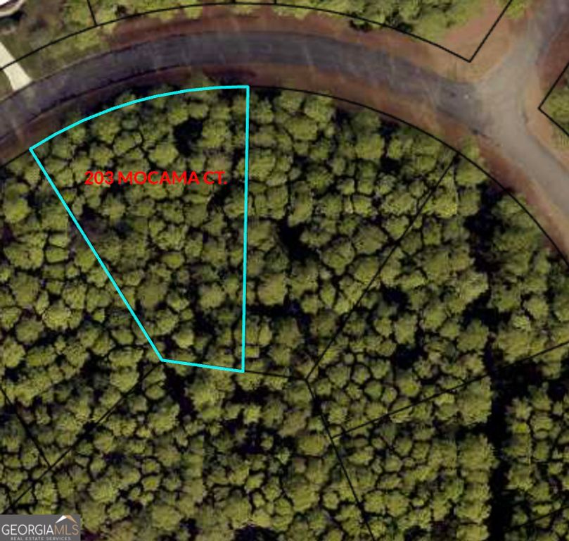 203 Mocama Court, St. Marys, GA 31558