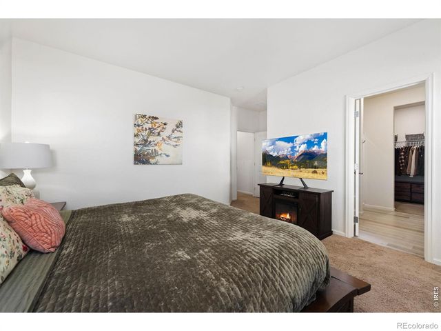 1078 Long Meadows Street, Severance, CO 80550