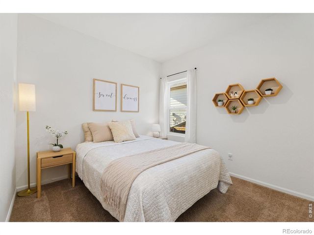 1078 Long Meadows Street, Severance, CO 80550