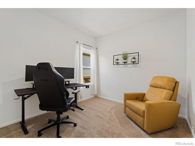 1078 Long Meadows Street, Severance, CO 80550