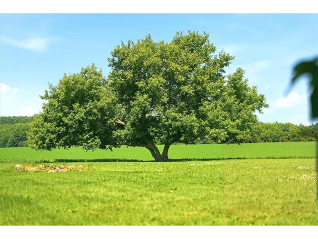 956 280th Street, Woodville, WI 54028