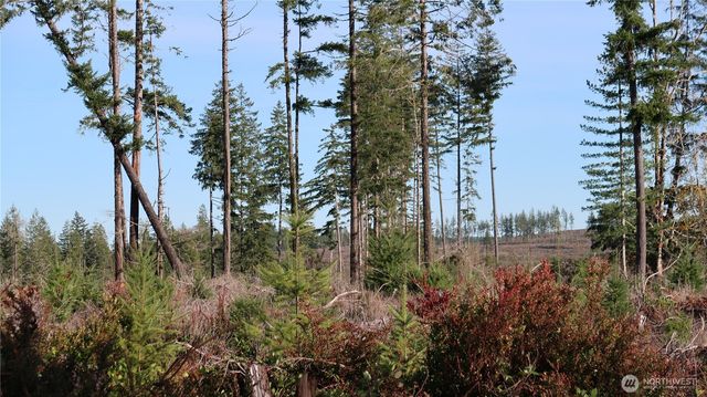 2180 NE Holly Dewatto Rd, Tahuya, WA 98588