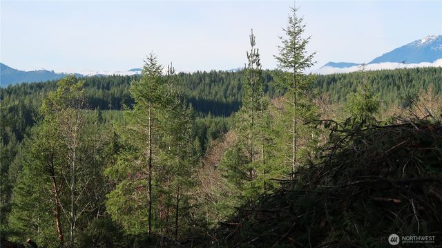 2180 NE Holly Dewatto Rd, Tahuya, WA 98588