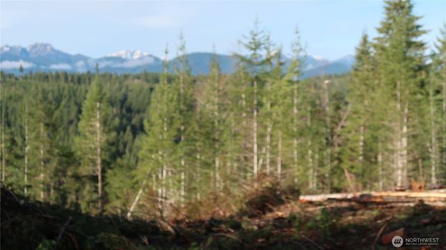 2180 NE Holly Dewatto Rd, Tahuya, WA 98588