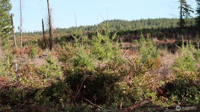 2180 NE Holly Dewatto Rd, Tahuya, WA 98588