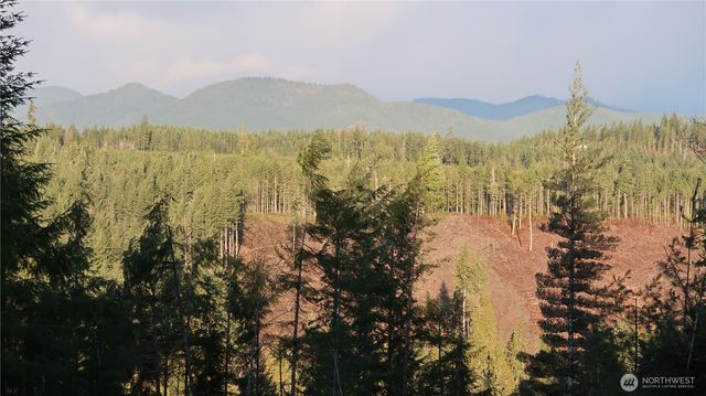2180 NE Holly Dewatto Rd, Tahuya, WA 98588