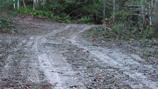 2180 NE Holly Dewatto Rd, Tahuya, WA 98588