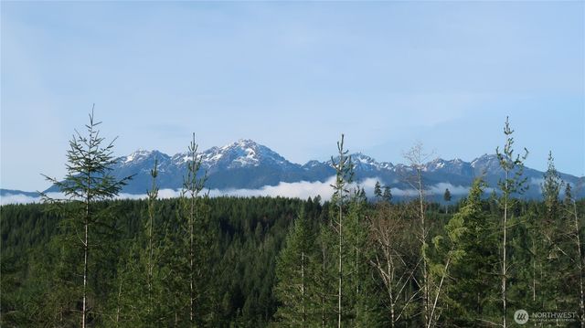 2180 NE Holly Dewatto Rd, Tahuya, WA 98588