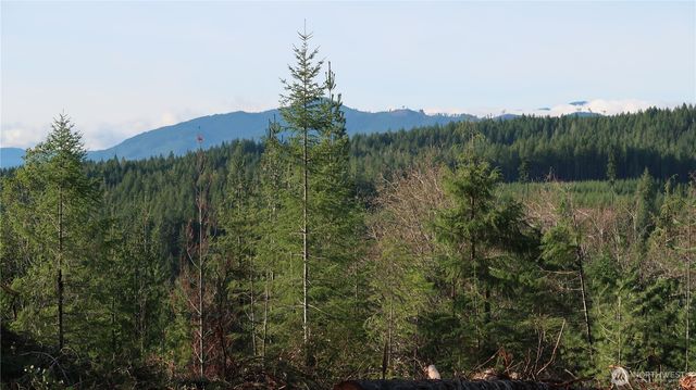 2180 NE Holly Dewatto Rd, Tahuya, WA 98588