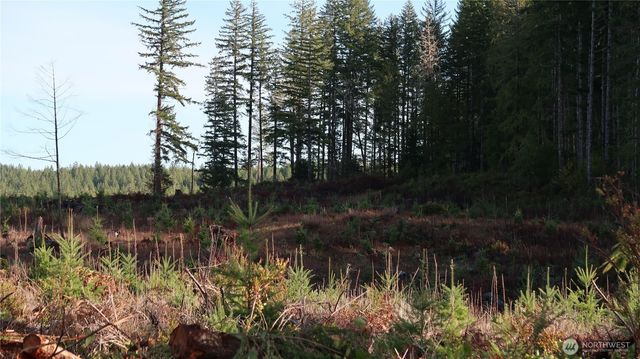 2180 NE Holly Dewatto Rd, Tahuya, WA 98588