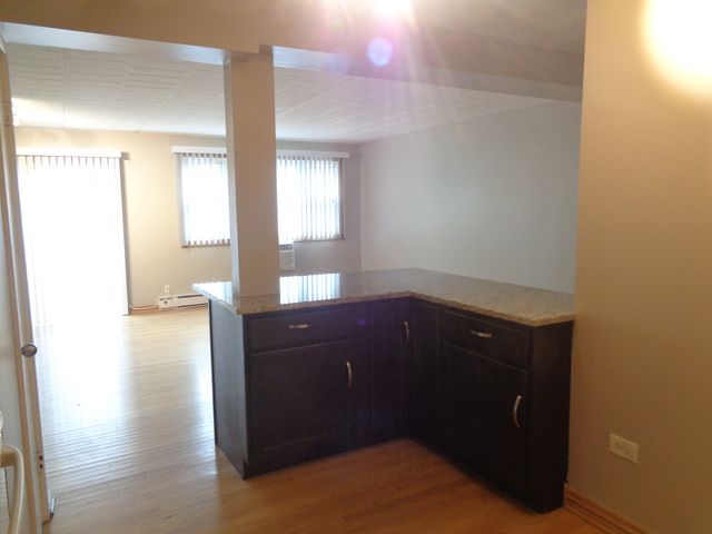 6233 W 94th Street 1SE, Oak Lawn, IL 60453