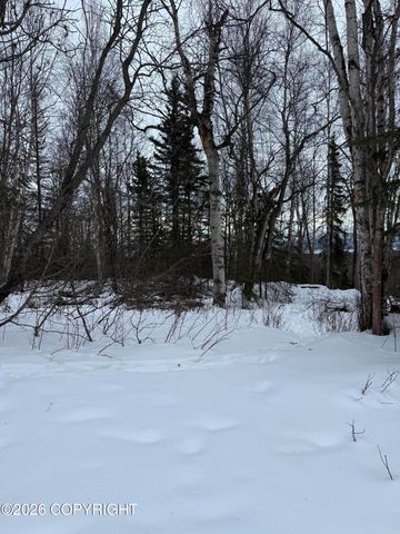 L2 Redington Estates, Wasilla, AK 99623