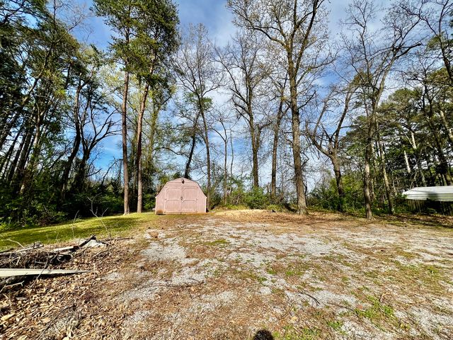 20062 N Shore Lane, West Frankfort, IL 62896