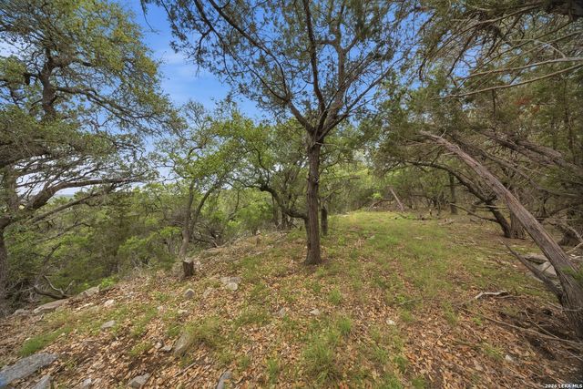 30244 CLOUD VIEW DR, Bulverde, TX 78163