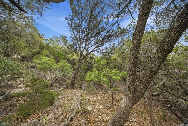 30244 CLOUD VIEW DR, Bulverde, TX 78163
