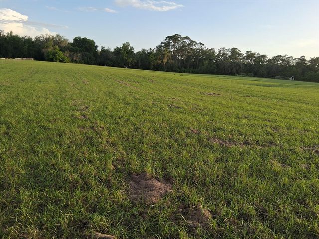 1613 NE 12TH AVENUE, Sumterville, FL 33585