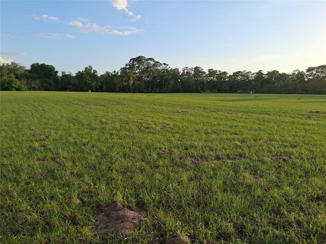 1613 NE 12TH AVENUE, Sumterville, FL 33585