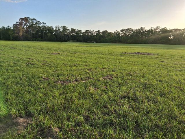 1613 NE 12TH AVENUE, Sumterville, FL 33585