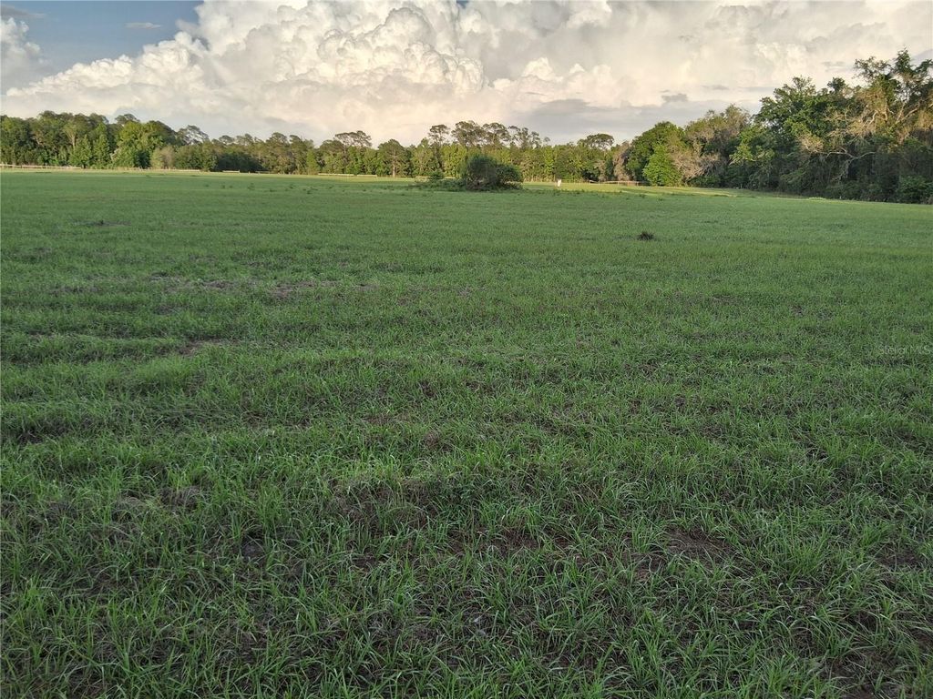 1613 NE 12TH AVENUE, Sumterville, FL 33585