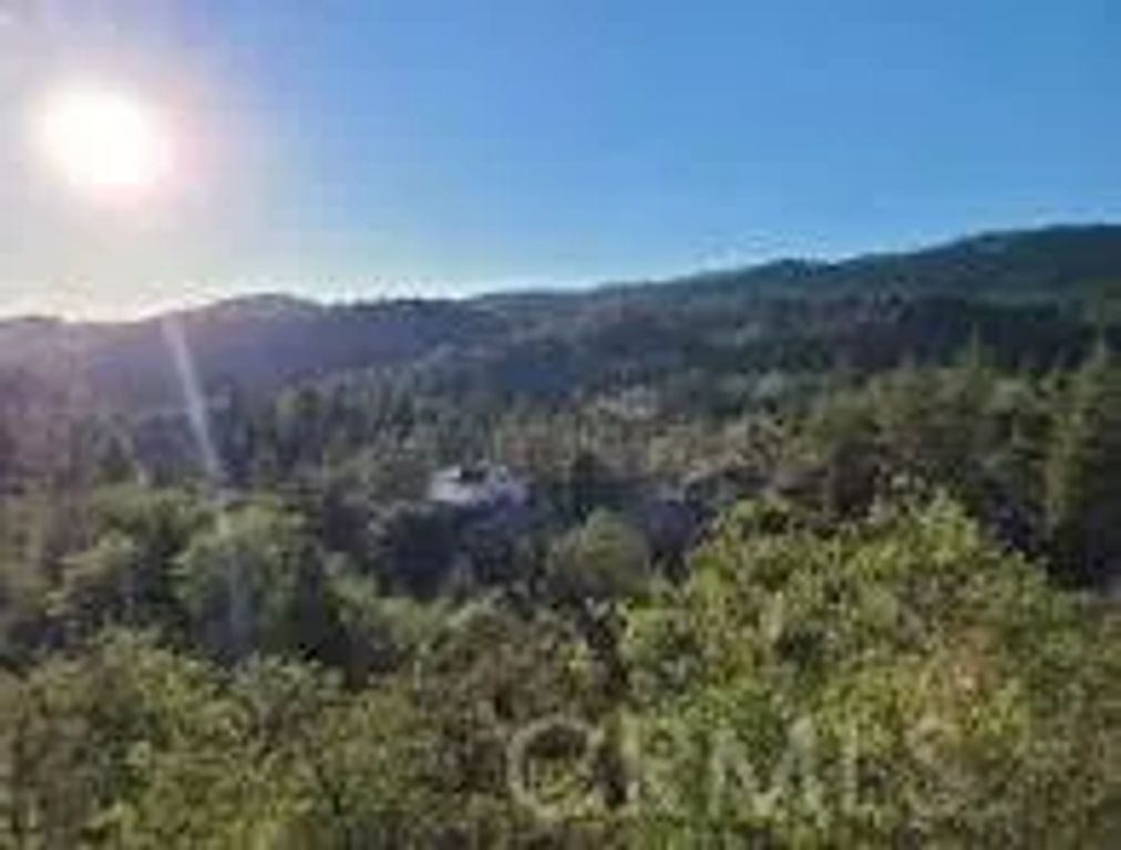 1894 Arrow Bear Park, Running Springs, CA 92382