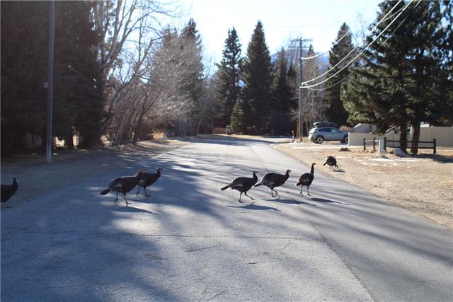 1106 White Avenue S, Red Lodge, MT 59068