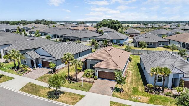 31427 CANNON RUSH DRIVE, San Antonio, FL 33576