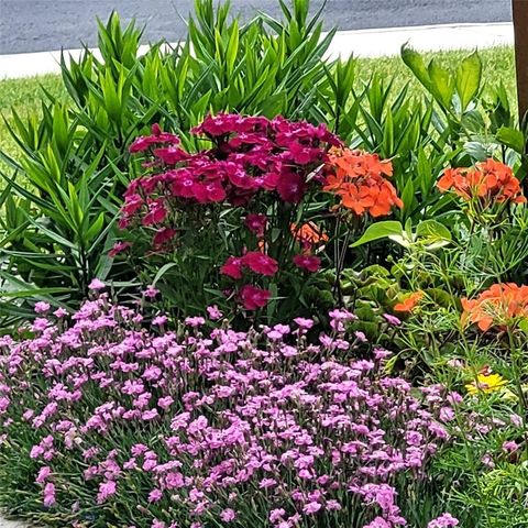 2366 W Beall Street 1, Bozeman, MT 59718