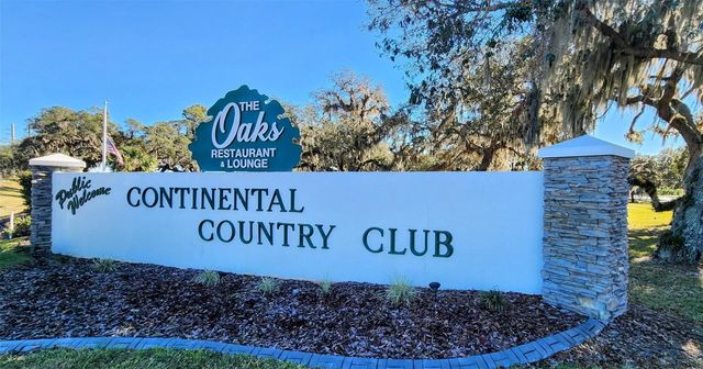 108 WINTERBERRY AVENUE, Wildwood, FL 34785