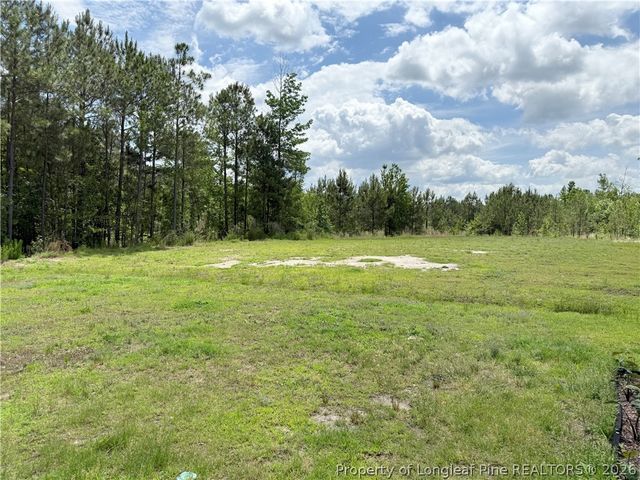 39 Princelet Point, Cameron, NC 28326