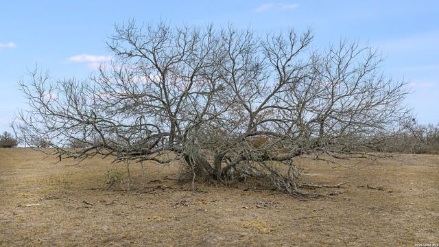 000 County Road 454, Stockdale, TX 78160