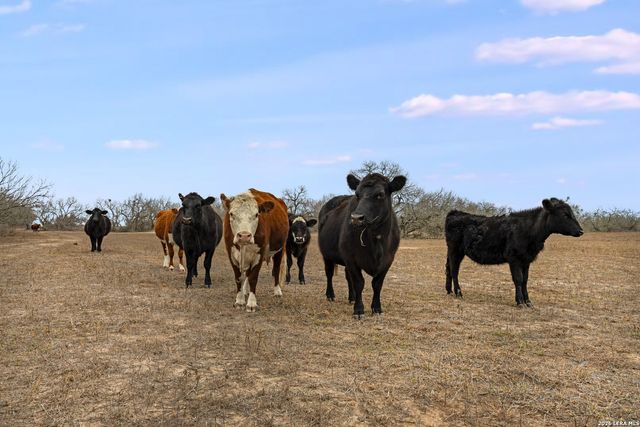 000 County Road 454, Stockdale, TX 78160