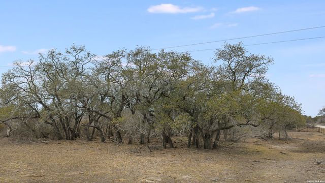 000 County Road 454, Stockdale, TX 78160