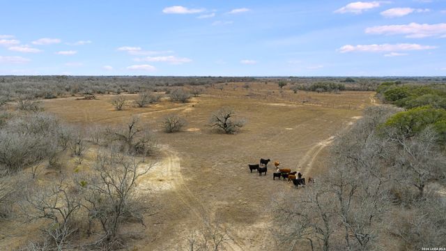 000 County Road 454, Stockdale, TX 78160