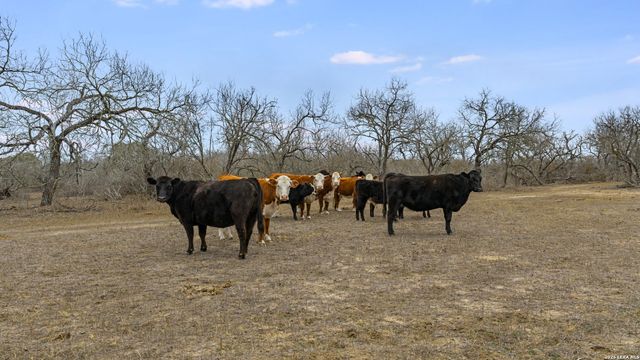 000 County Road 454, Stockdale, TX 78160
