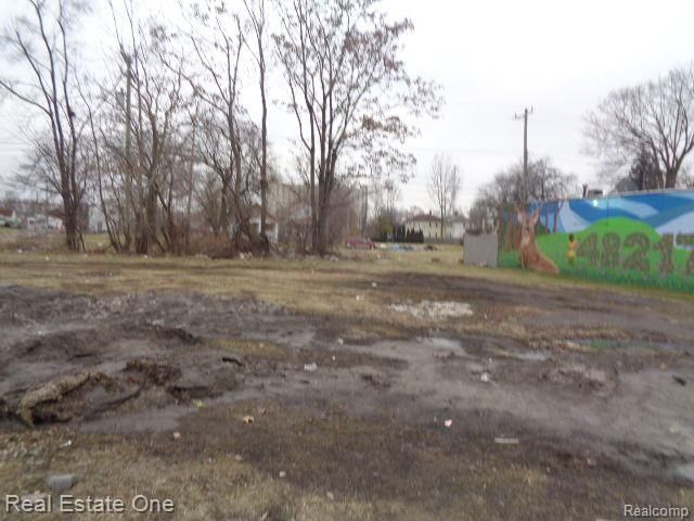 2601 S Fort Street, Detroit, MI 48217