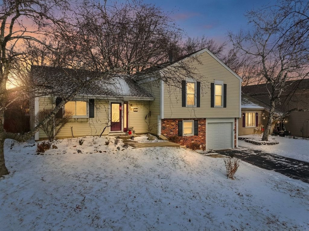 113 Wallace Street, Bartlett, IL 60103