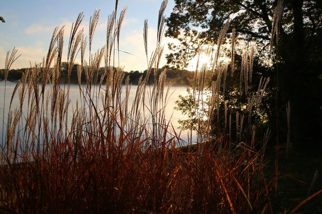 630 Carver Beach Road, Chanhassen, MN 55317