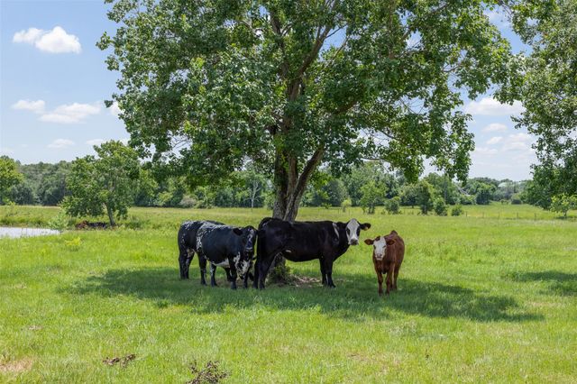 32675 Fm 1488 Road, Hempstead, TX 77445
