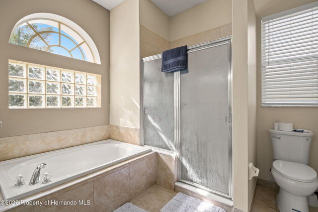 11128 Lomita Wren Road, Weeki Wachee, FL 34614