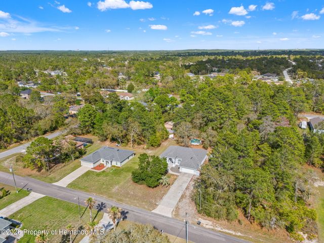 11128 Lomita Wren Road, Weeki Wachee, FL 34614